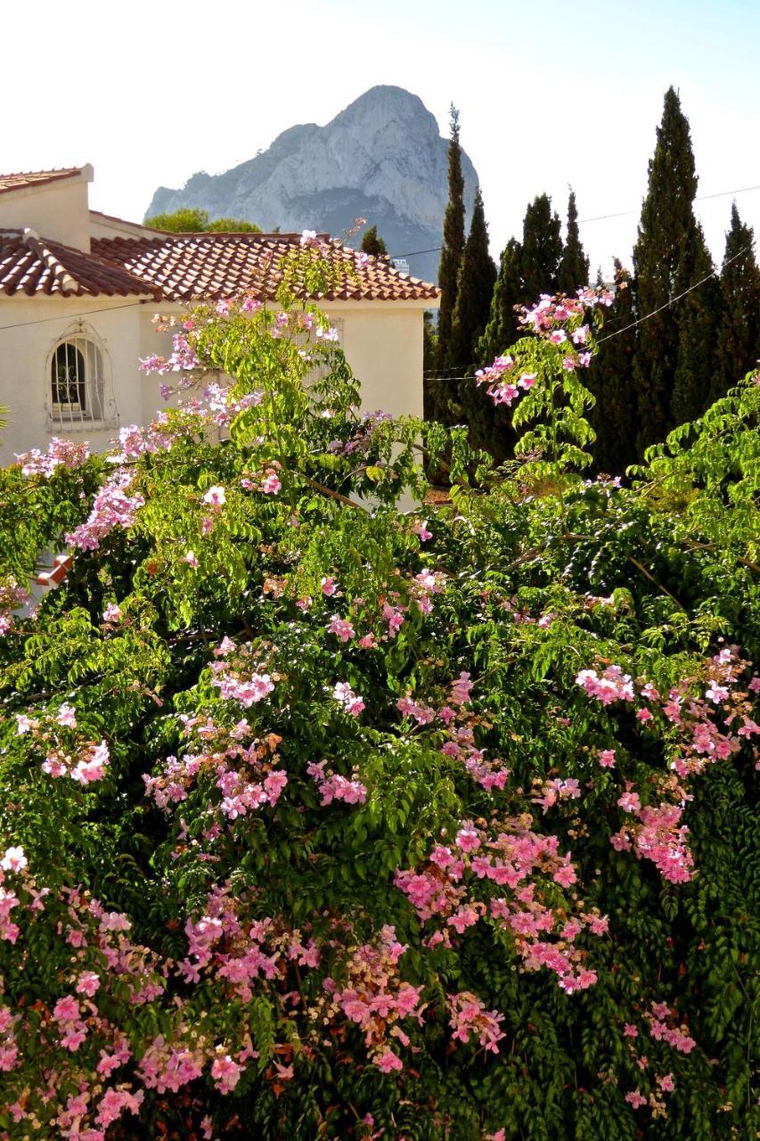 Villa Benavero Boutique Style Within Fenced Tropical Garden Calpe Eksteriør billede