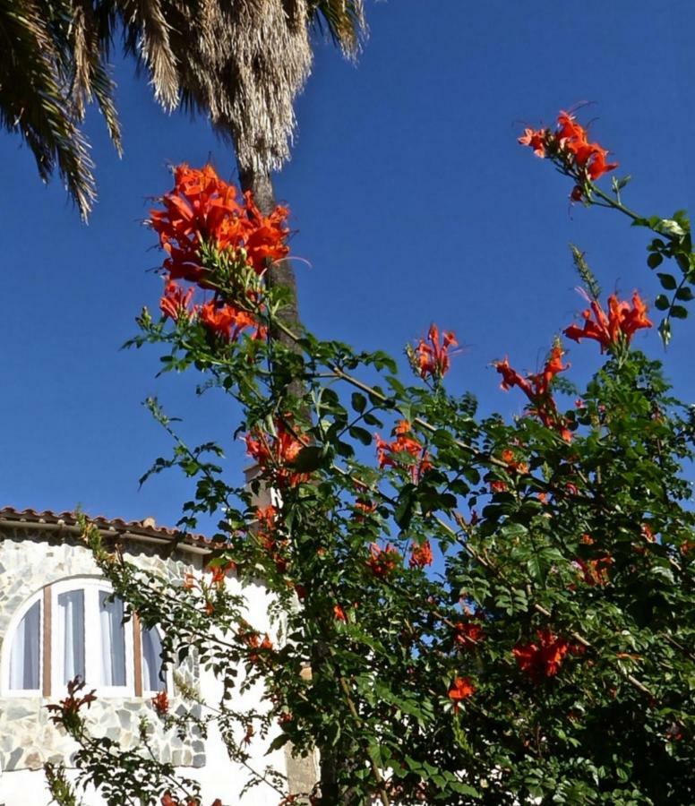 Villa Benavero Boutique Style Within Fenced Tropical Garden Calpe Eksteriør billede